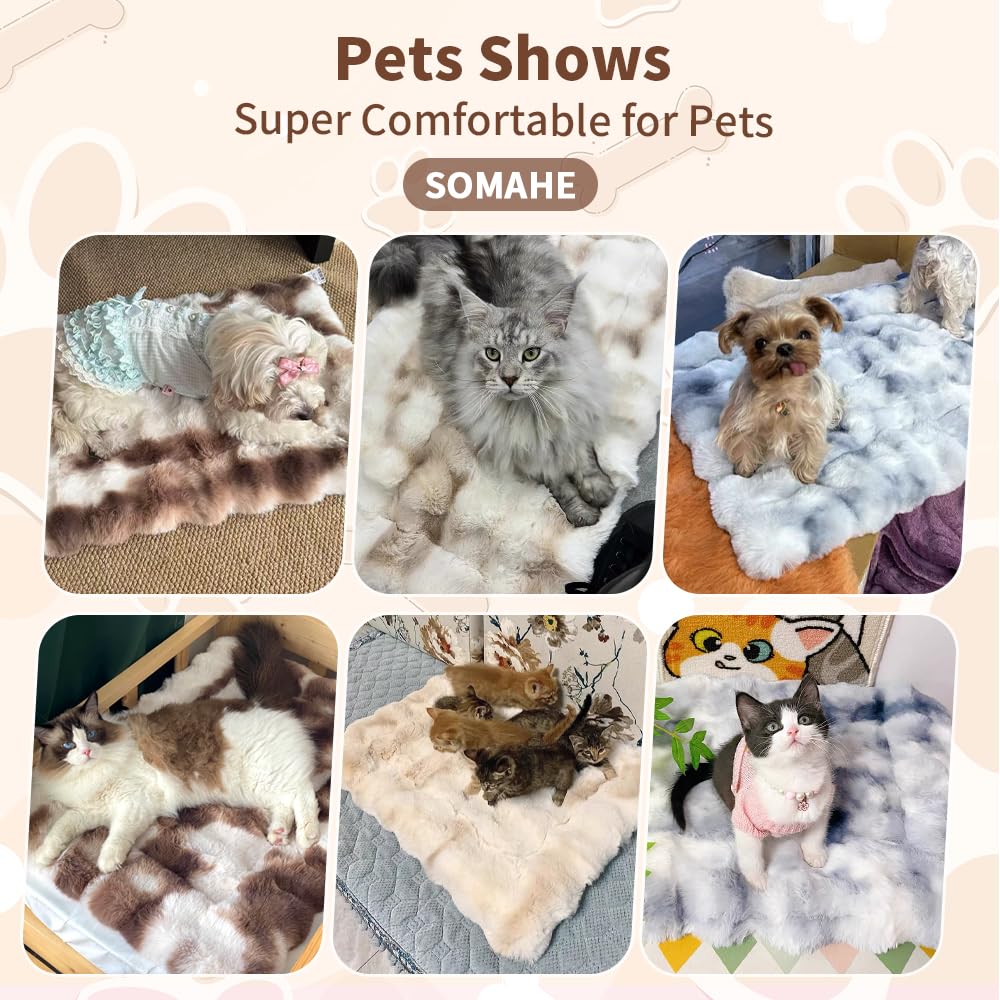 SOMAHE 23x15-inch bed suits most cats and kittens.