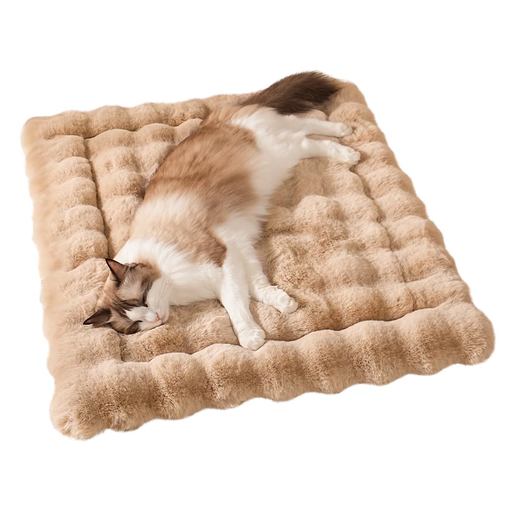 SOMAHE cat bed mat plush fur texture supports kneading comfort on chilly evenings.
