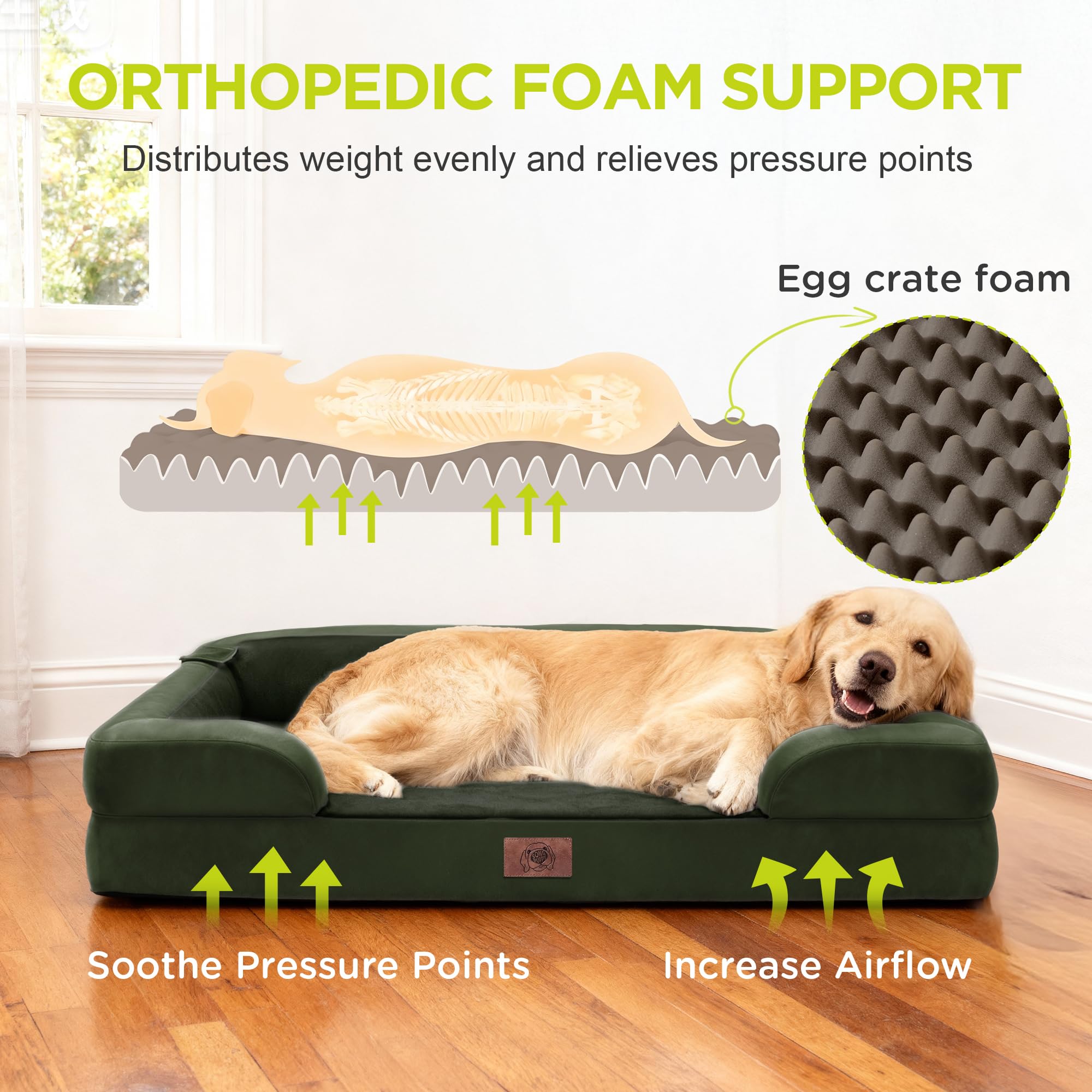 Song Puppy bed shows three bolsters for secure, cozy lounging