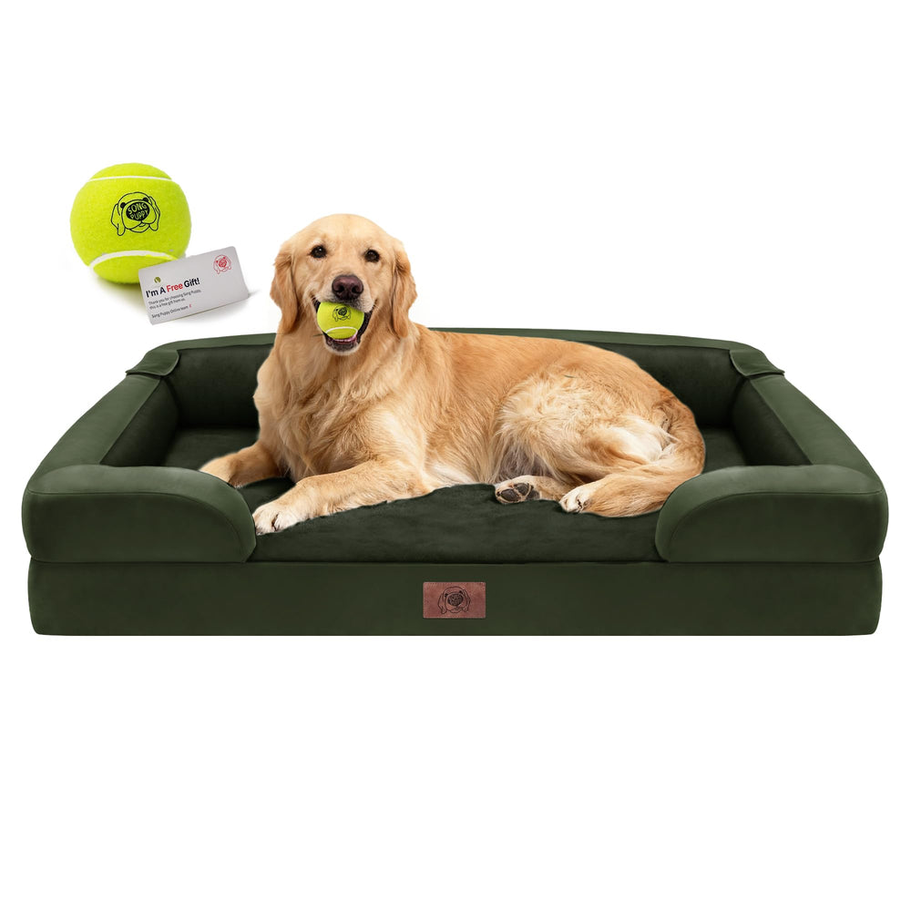 Song Puppy XL orthopedic dog bed with memory foam for joint support