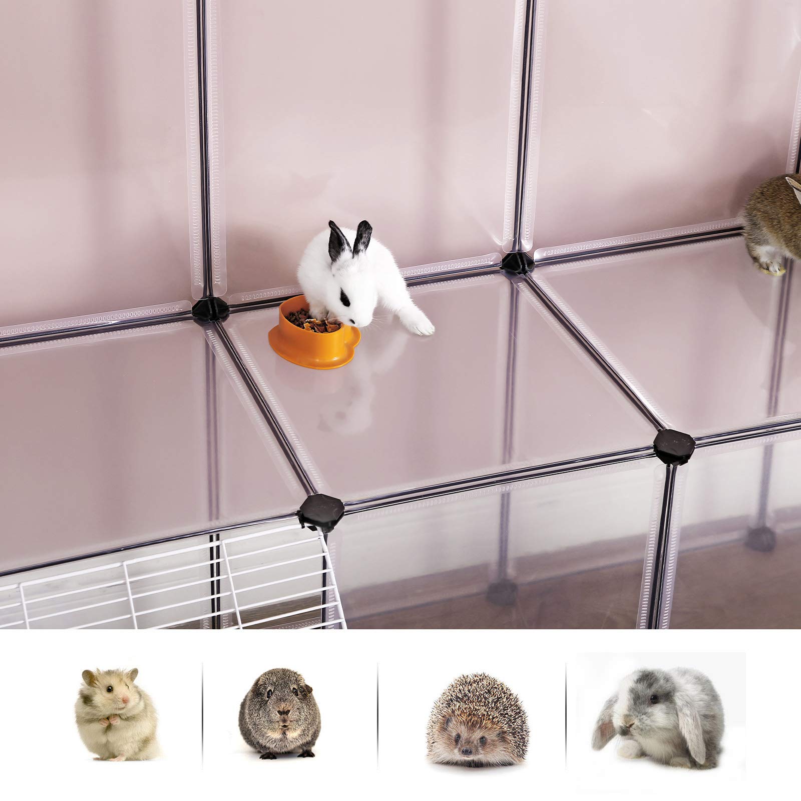 SONGMICS transparent plastic panels highlight clear viewing while pets play