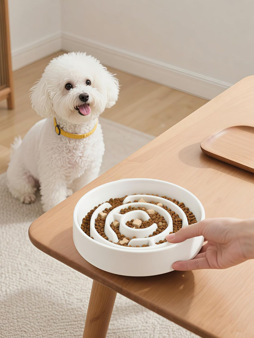 Soniuong ceramic slow feeder in a pets mealtime setup