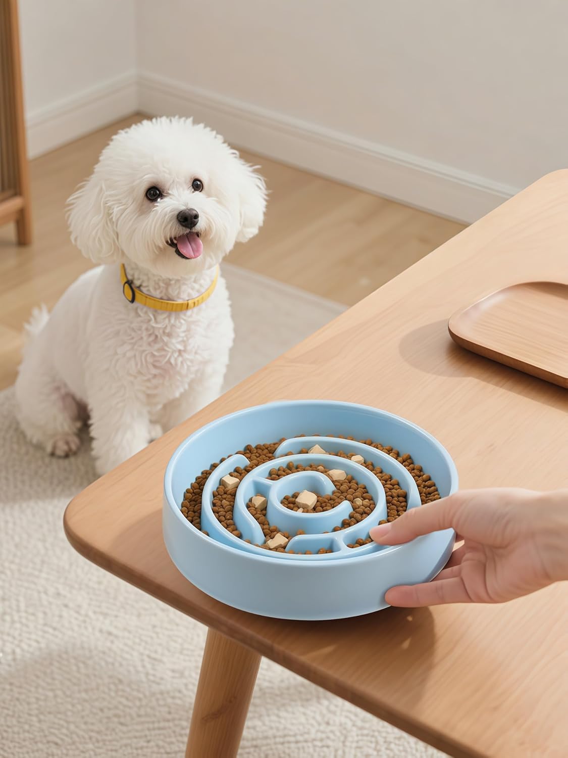 Soniuong blue slow feeder bowl adds a modern touch to any home.