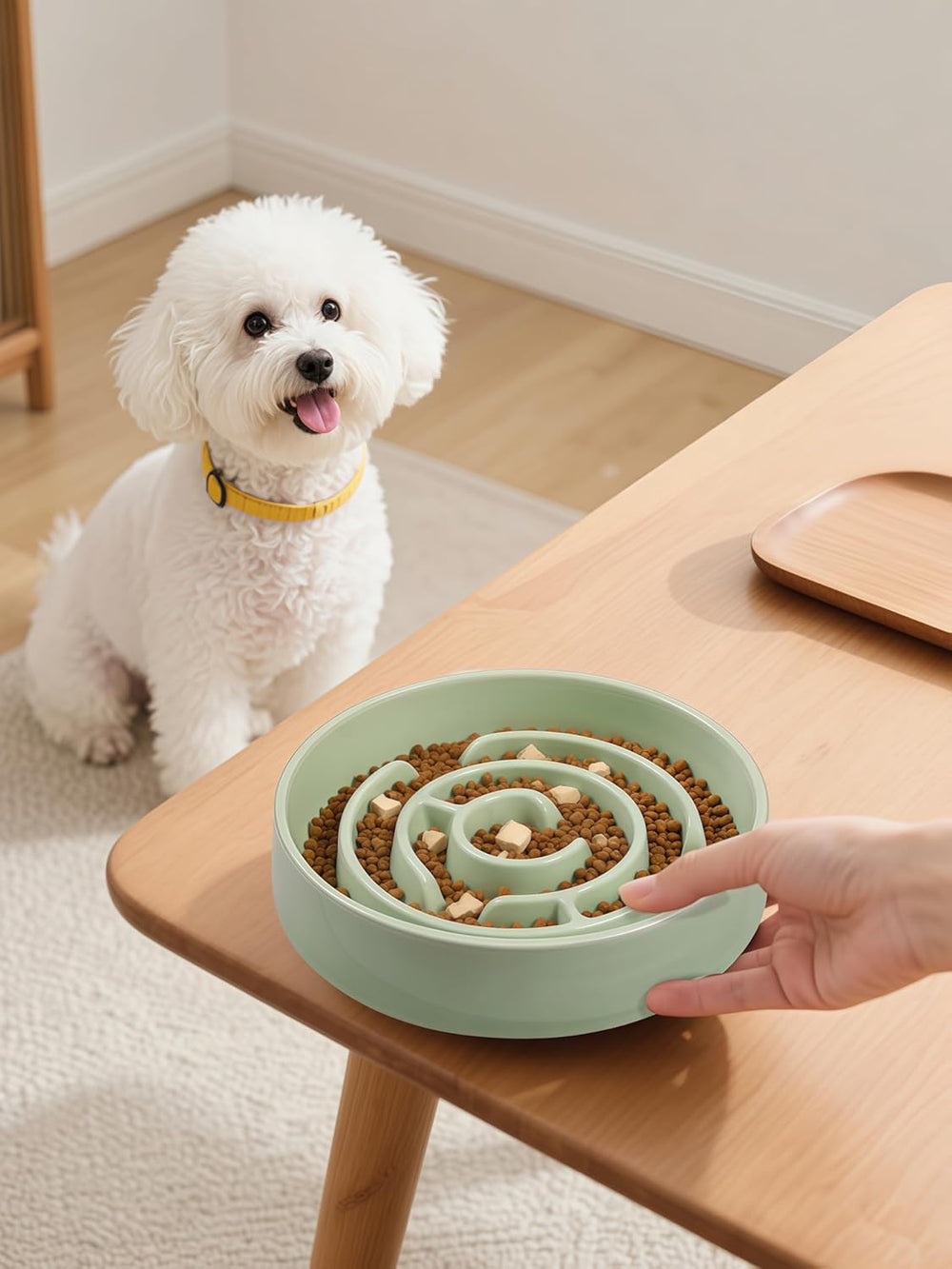 Soniuong green ceramic design adds modern style to mealtime