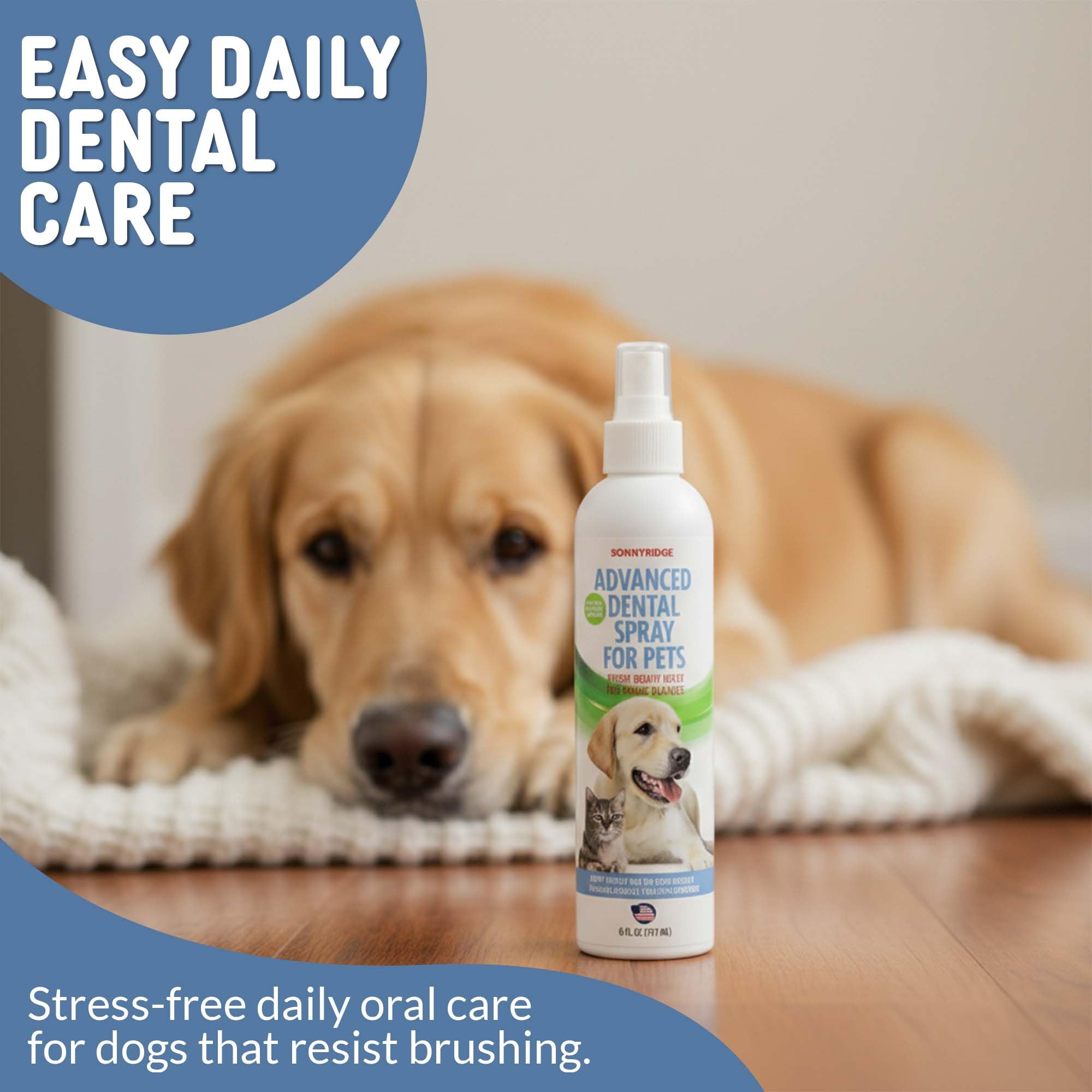 Sonnyridge dental spray contains no alcohol or toxins for safety.