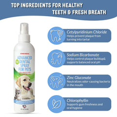 Sonnyridge dog dental spray targets tartar removal on teeth and gums.
