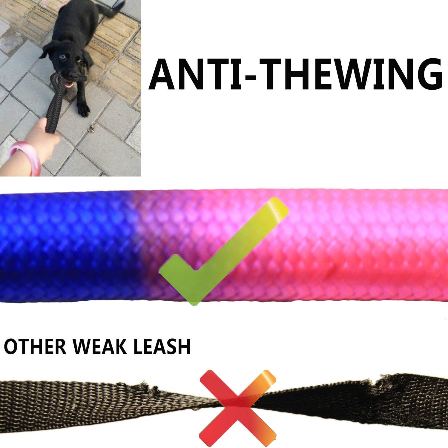 SONQUEEN safety-locks keep dogs securely attached on crowded streets.