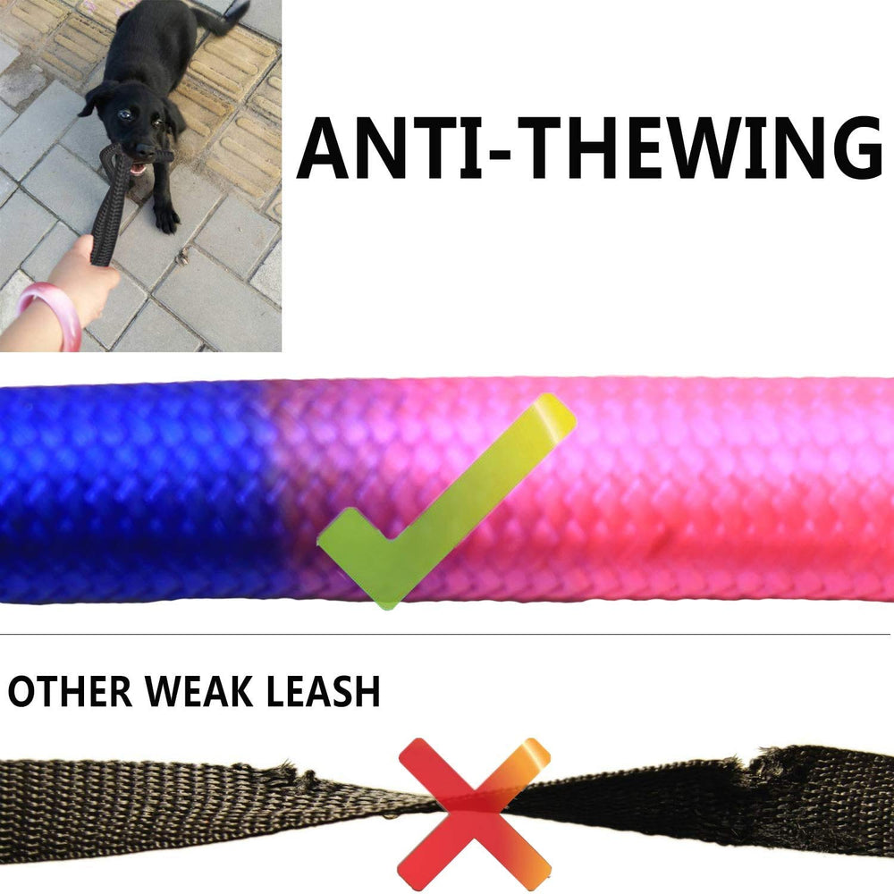 SONQUEEN safety-locks keep dogs securely attached on crowded streets.