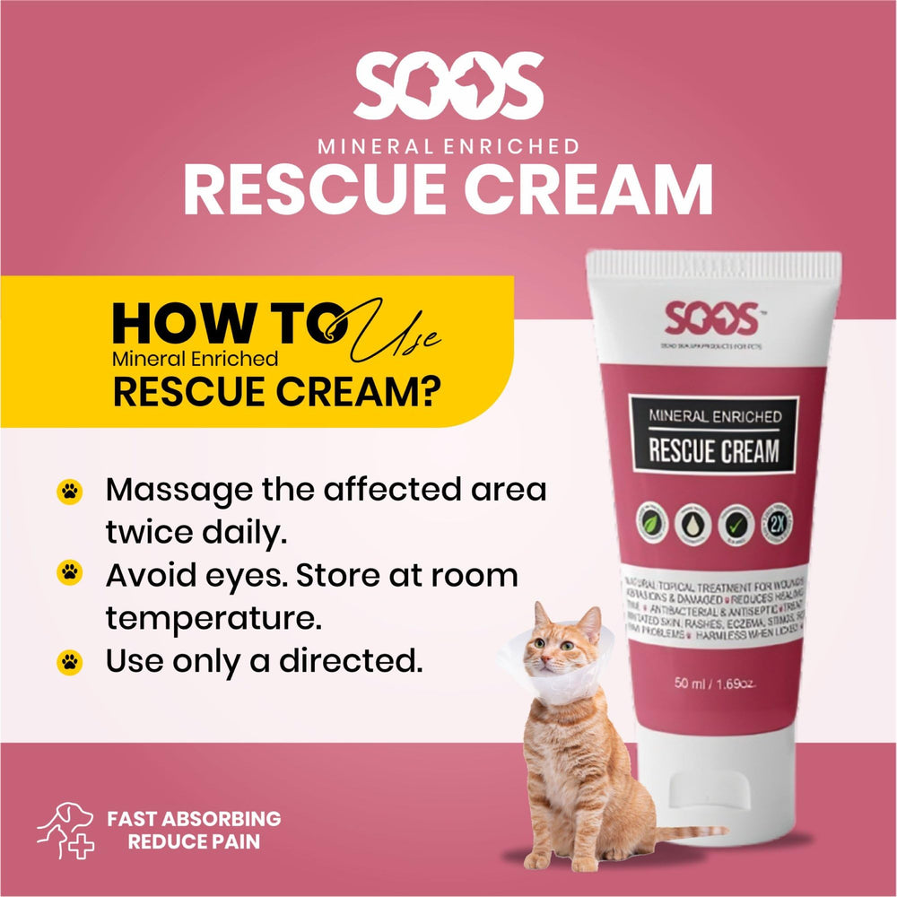 Dog owner applying SOOS Rescue Cream highlighting fast absorption