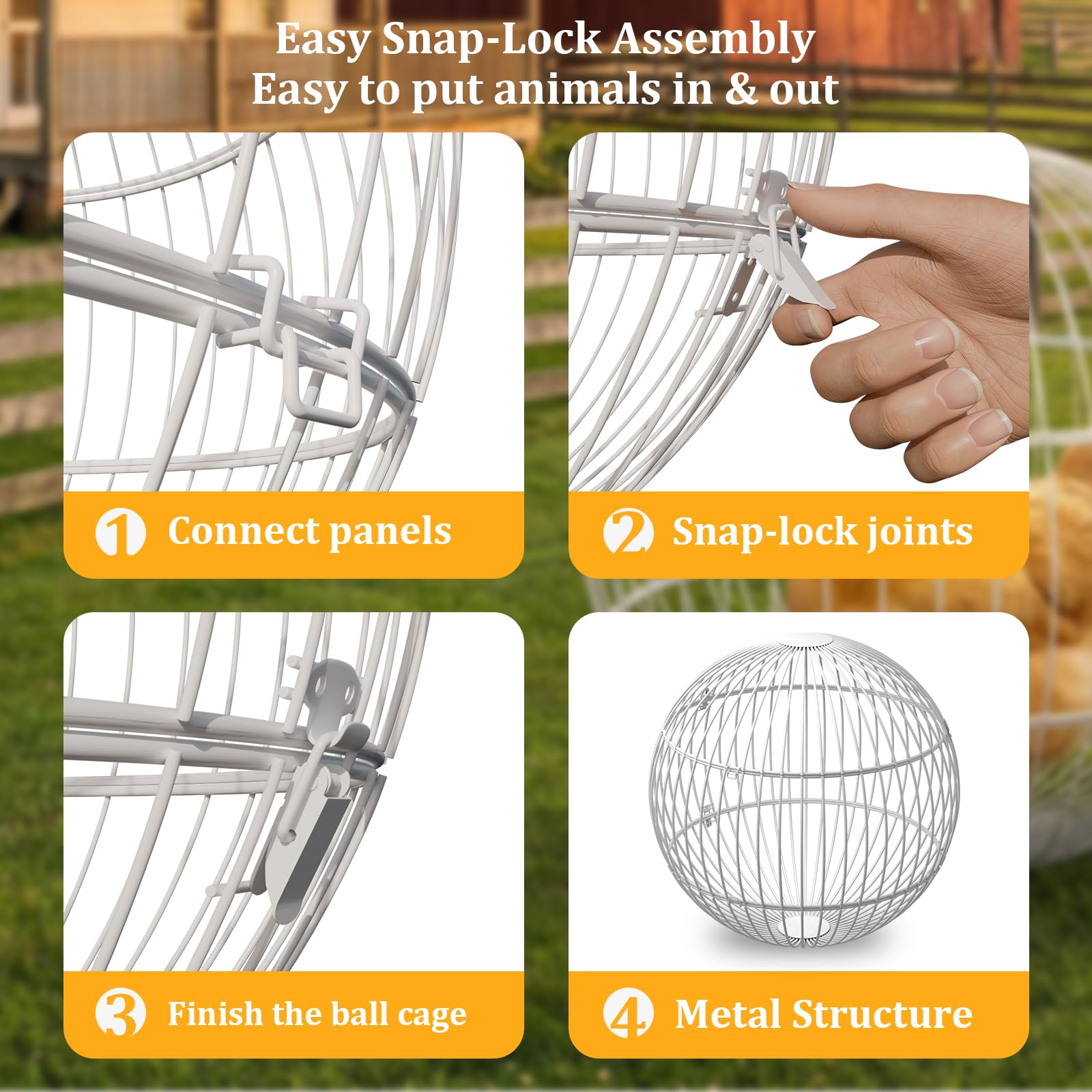 SorenCut easy-assembly chicken enclosure enables tool-free setup for backyard sessions.