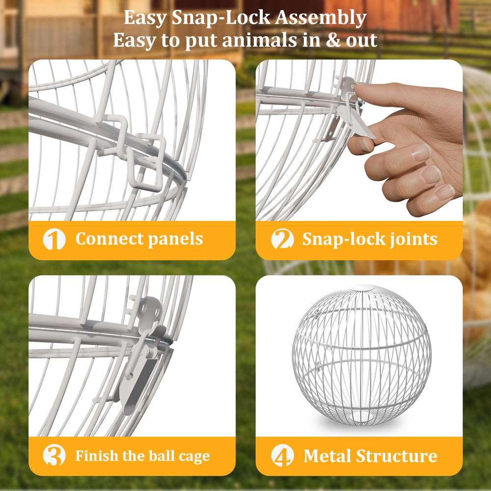 SorenCut easy-assembly chicken enclosure enables tool-free setup for backyard sessions.