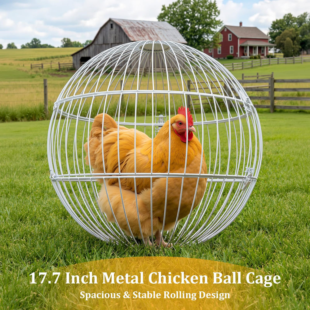 SorenCut not-permanent-coop design emphasizes easy relocation and temporary exercise sessions.