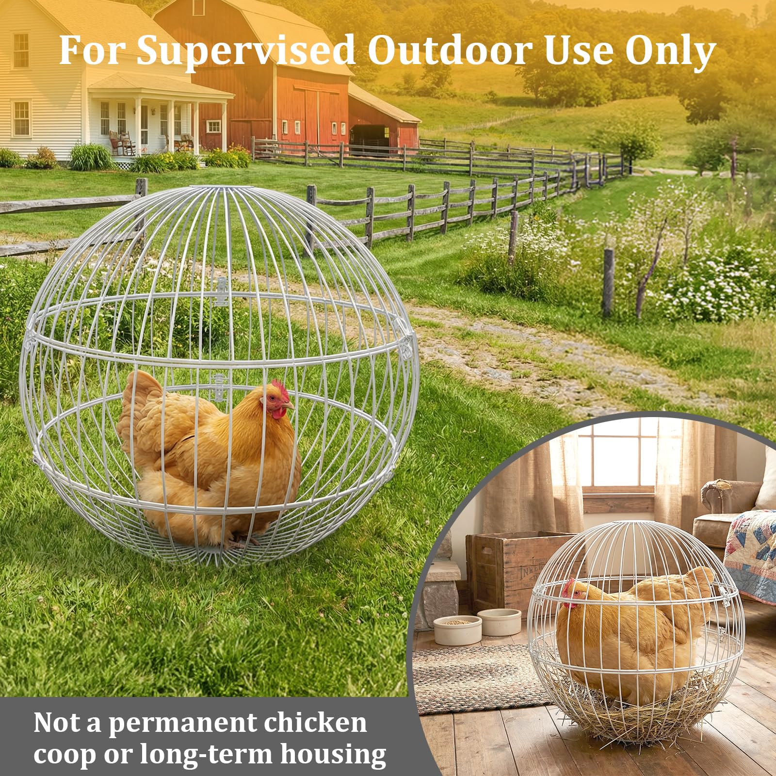 SorenCut 17.7-inch cage keeps poultry visible for monitoring during exercise.