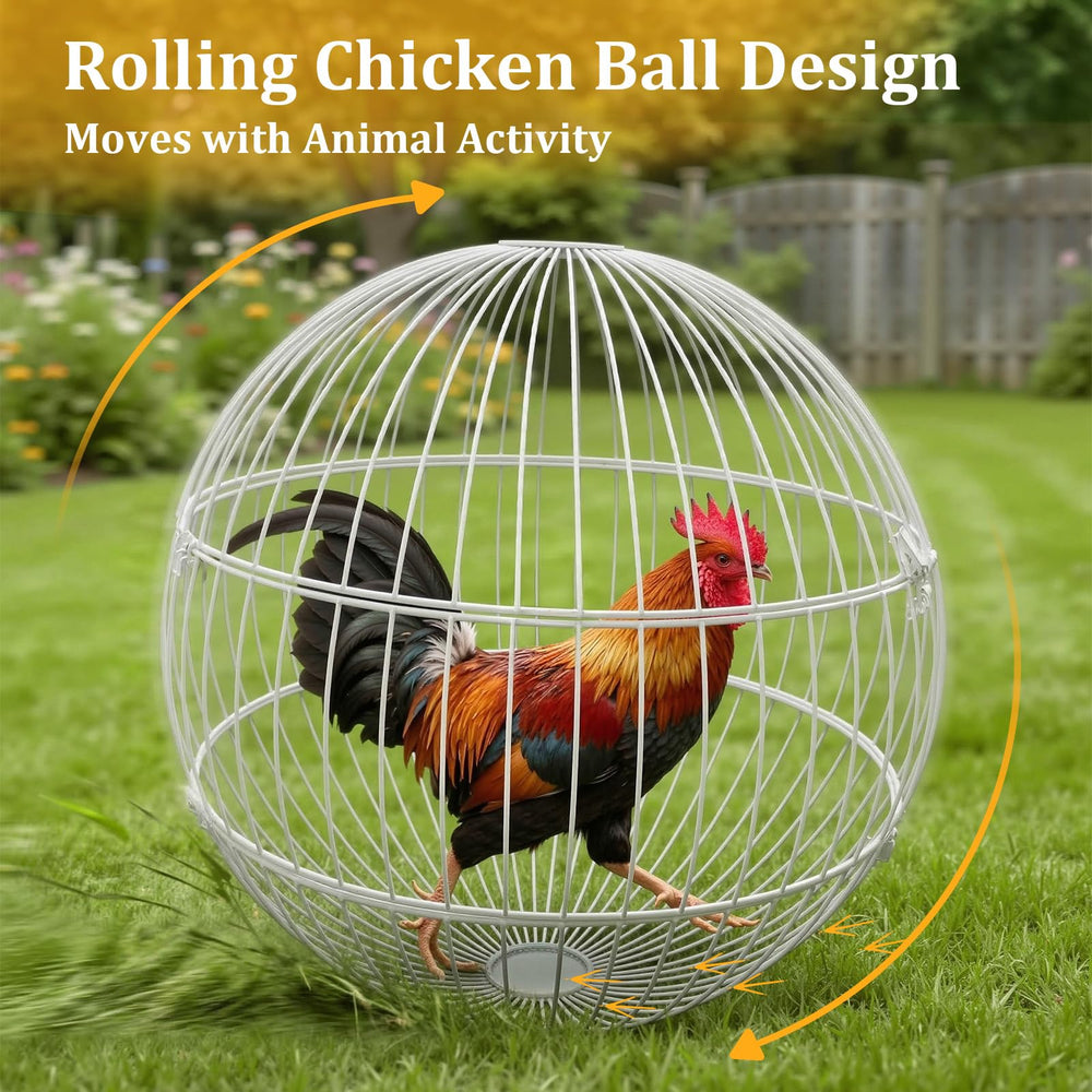 SorenCut small-to-medium-chickens-friendly cage invites supervised outdoor exploration.