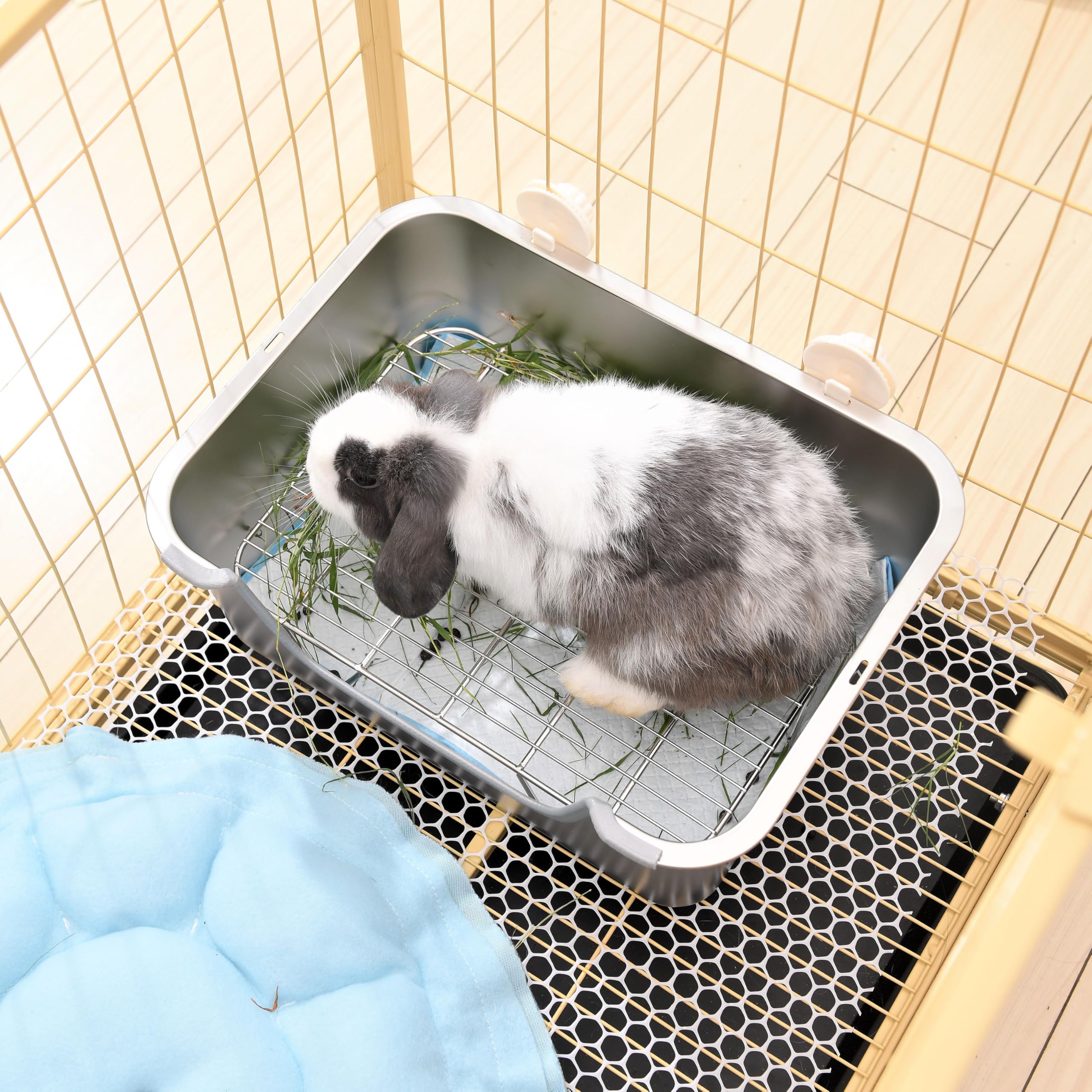 Sorstrem litter box secured to cage for steady, mess-free setup.