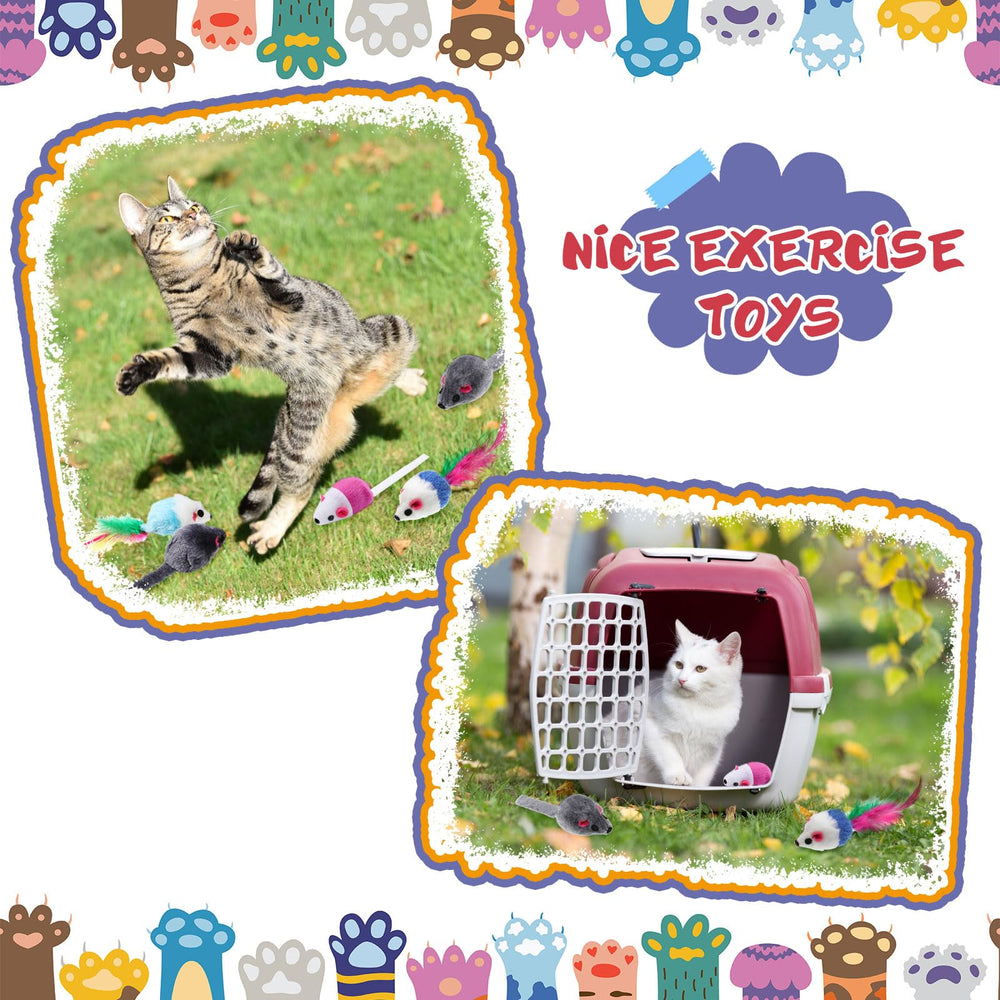 Sosation interactive cat toy set supports solo and shared play