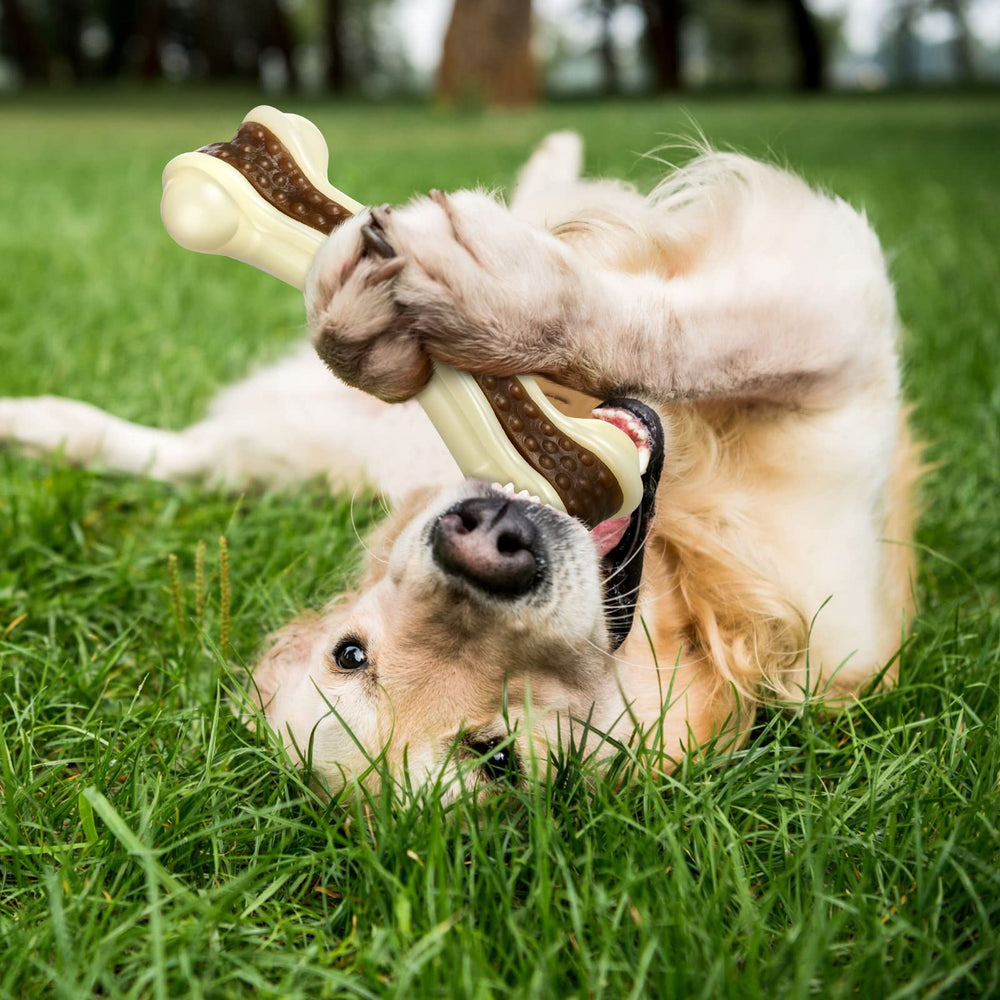 Sosation sturdy nylon bone chew designed for strong chewers during interactive play
