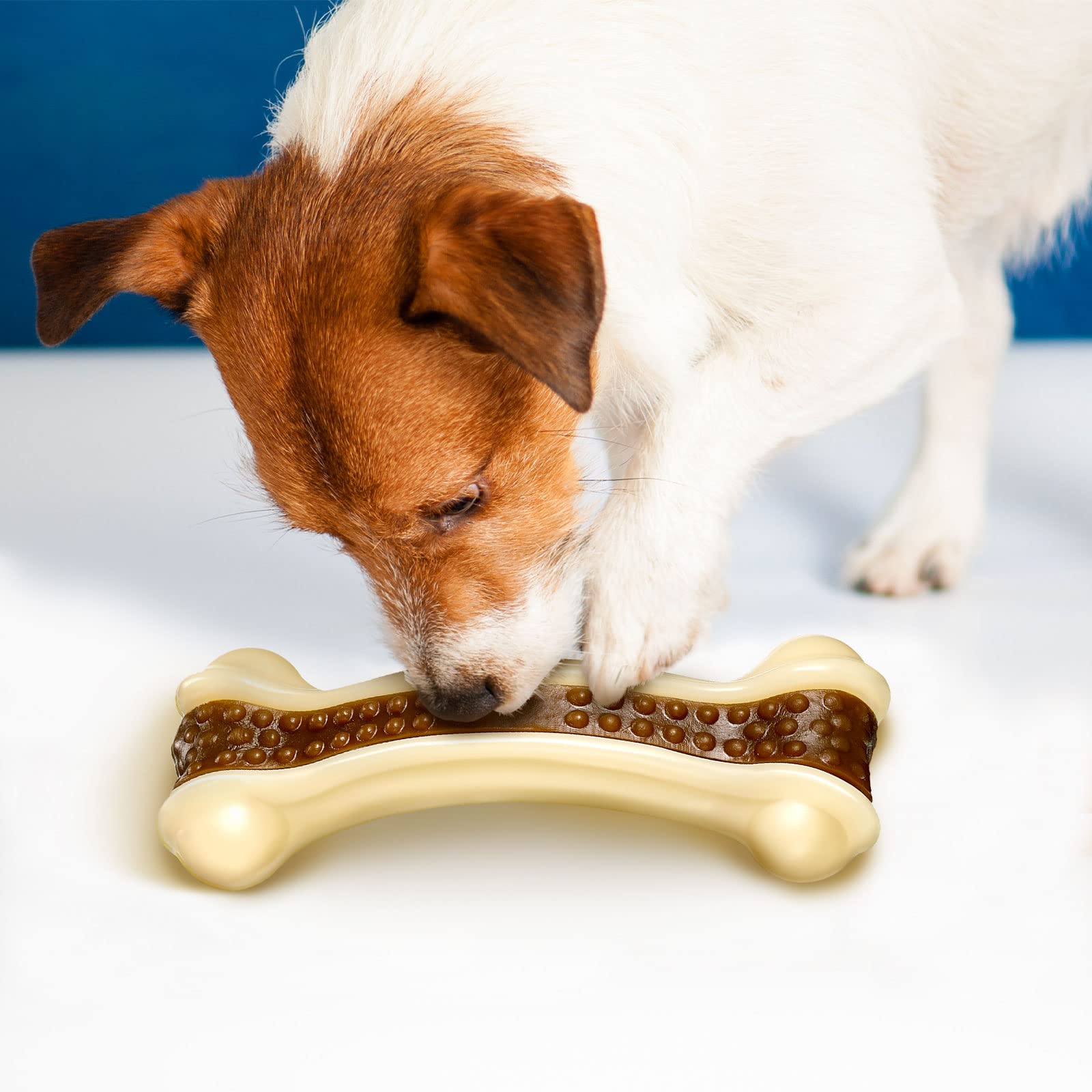 Sosation holiday dog toy enhances play and bonding