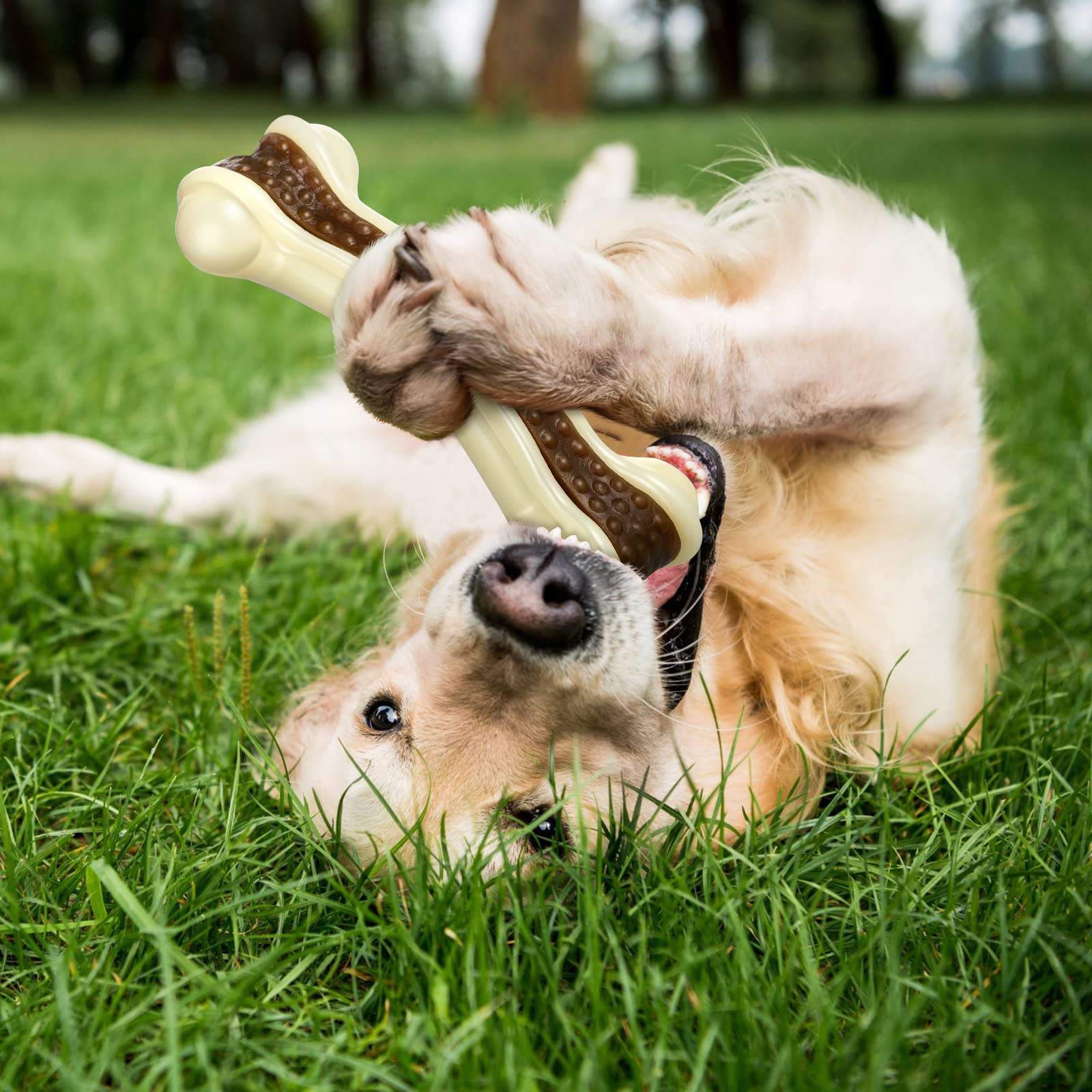 Sosation puppy safe toy ideal for supervised play and bonding