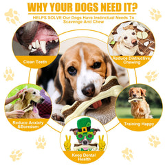 Sosation realistic bone chew toy grabs attention during playtime