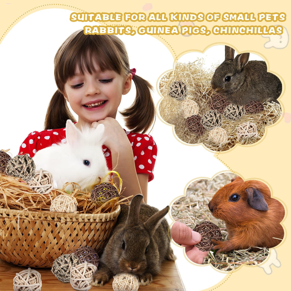 Sosation playroom setup shows small animals enjoying enrichment with balls.