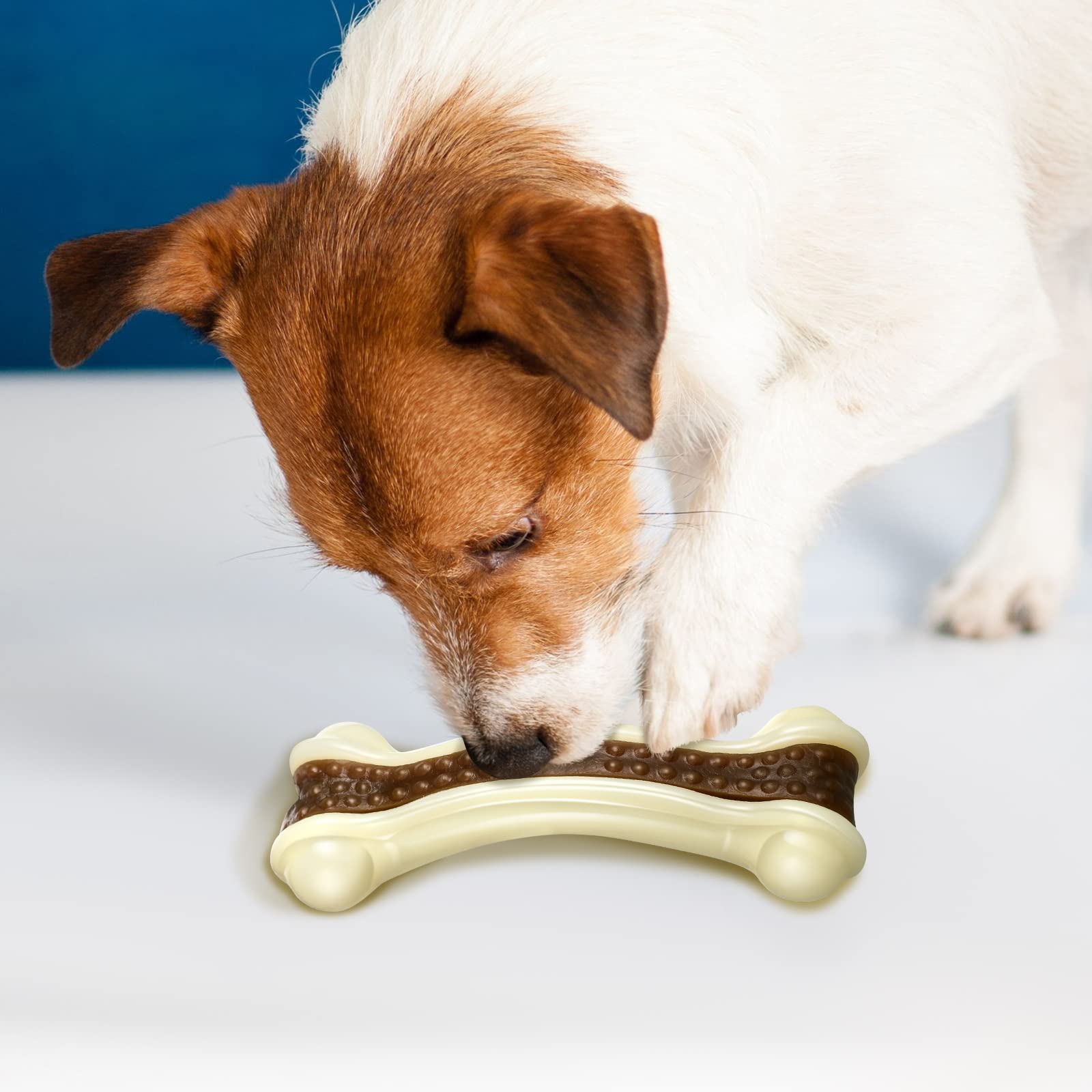 Sosation three-pack dog chew toys for supervised play