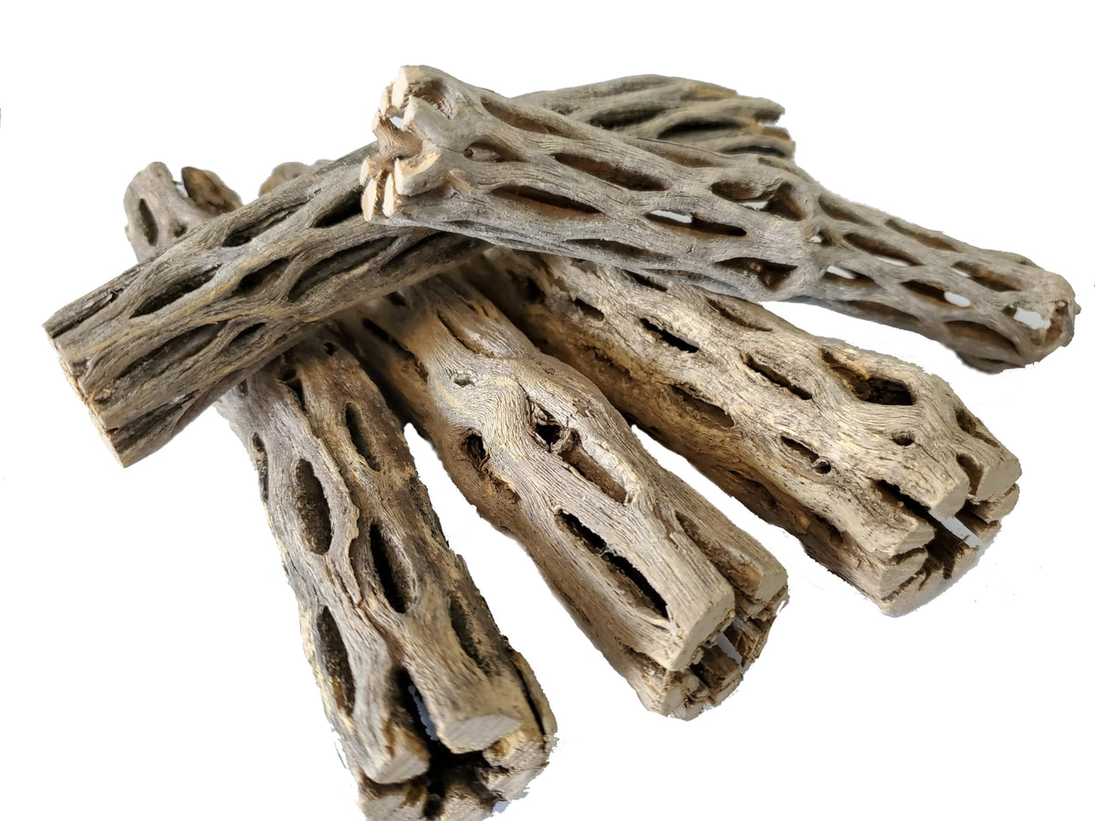 SoShrimp cholla wood top view highlighting natural branching for aquarium decor and shelter.
