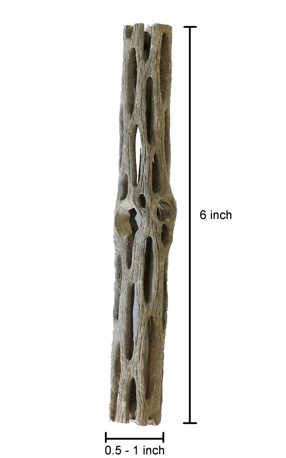 SoShrimp cholla wood packaging display demonstrating organized tank-ready setup.