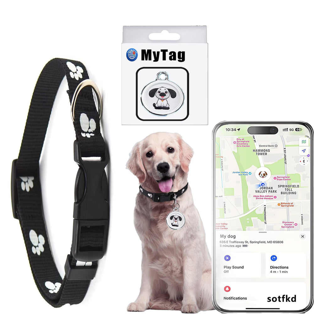 Sotfkd dog tracker collar on a dog's neck during a park walk, lightweight monitoring