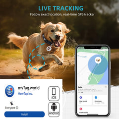 Sotfkd dual-system tracker showing map-based location updates