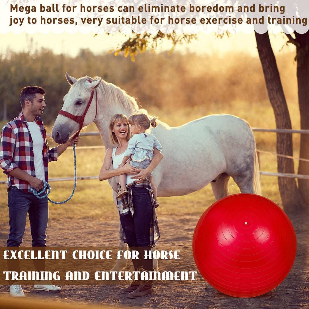 Sotiff giant equine ball used with large pets like ponies and goats