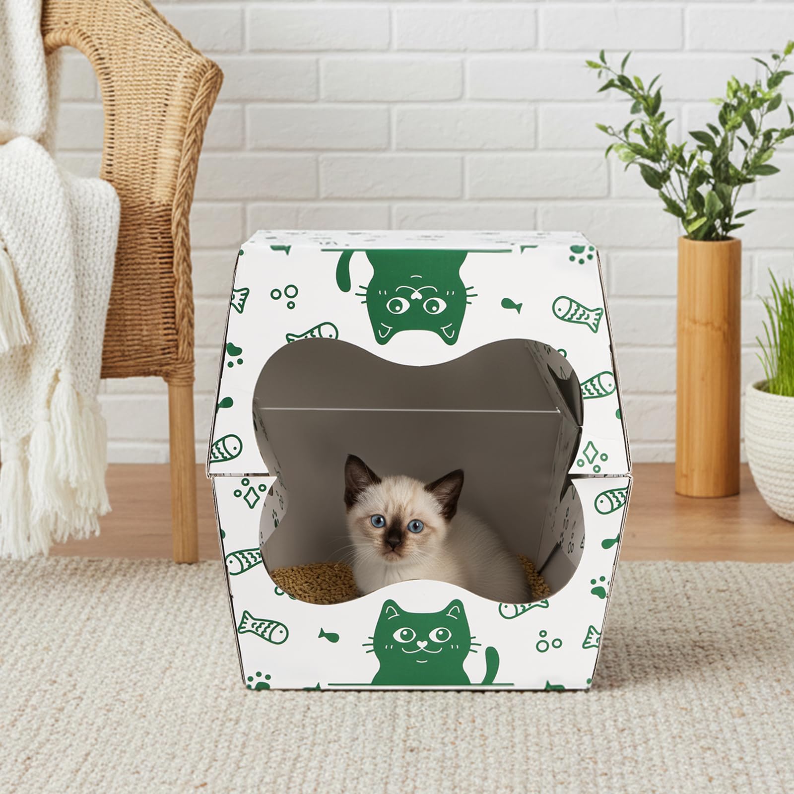 SOUJOY disposable box recommended to replace every 1-2 weeks