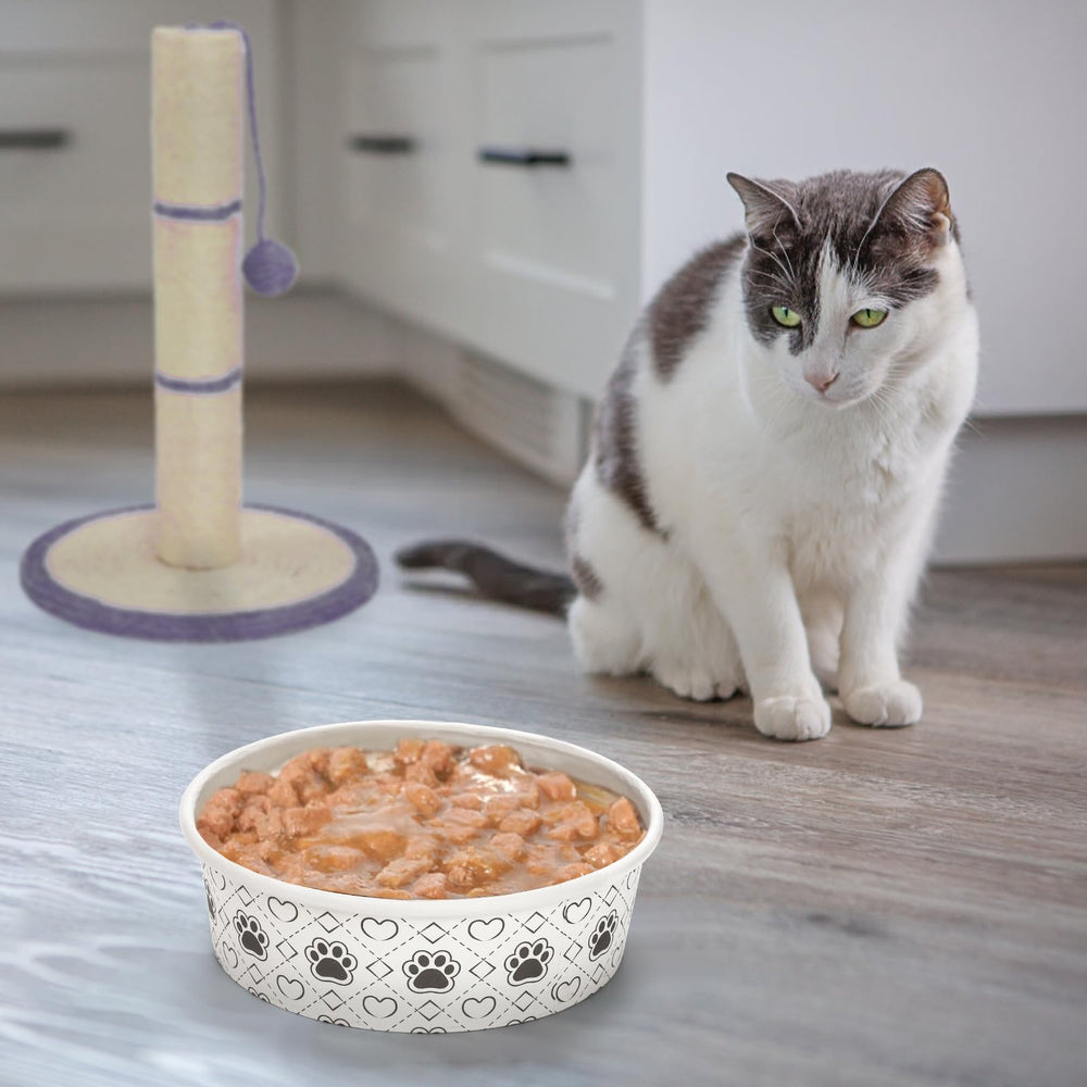SOUJOY recyclable disposable bowls support easy, eco-conscious pet care.