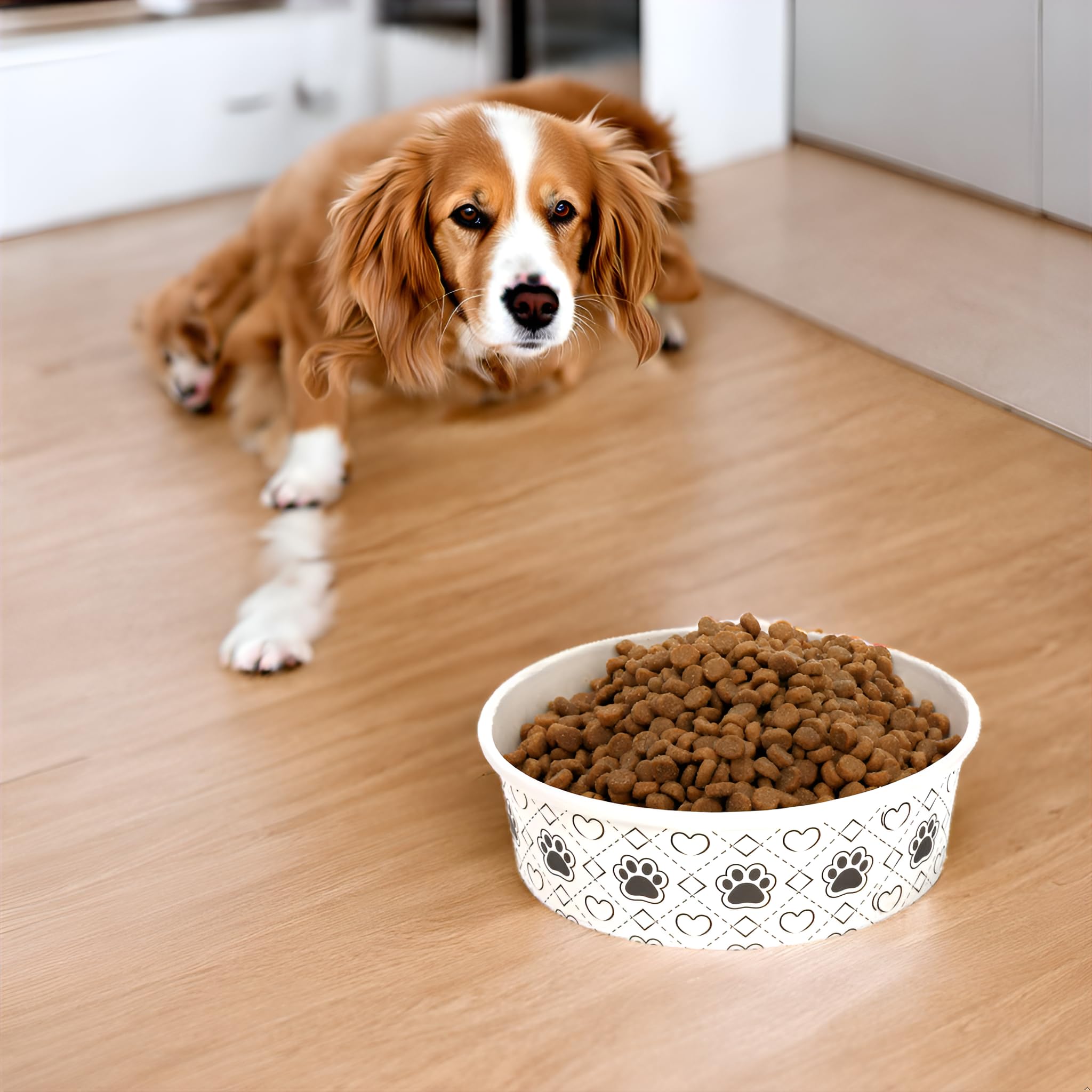 SOUJOY 40-pack bowls provide multiple meals and convenient sharing.
