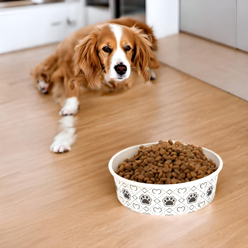 SOUJOY 40-pack bowls provide multiple meals and convenient sharing.