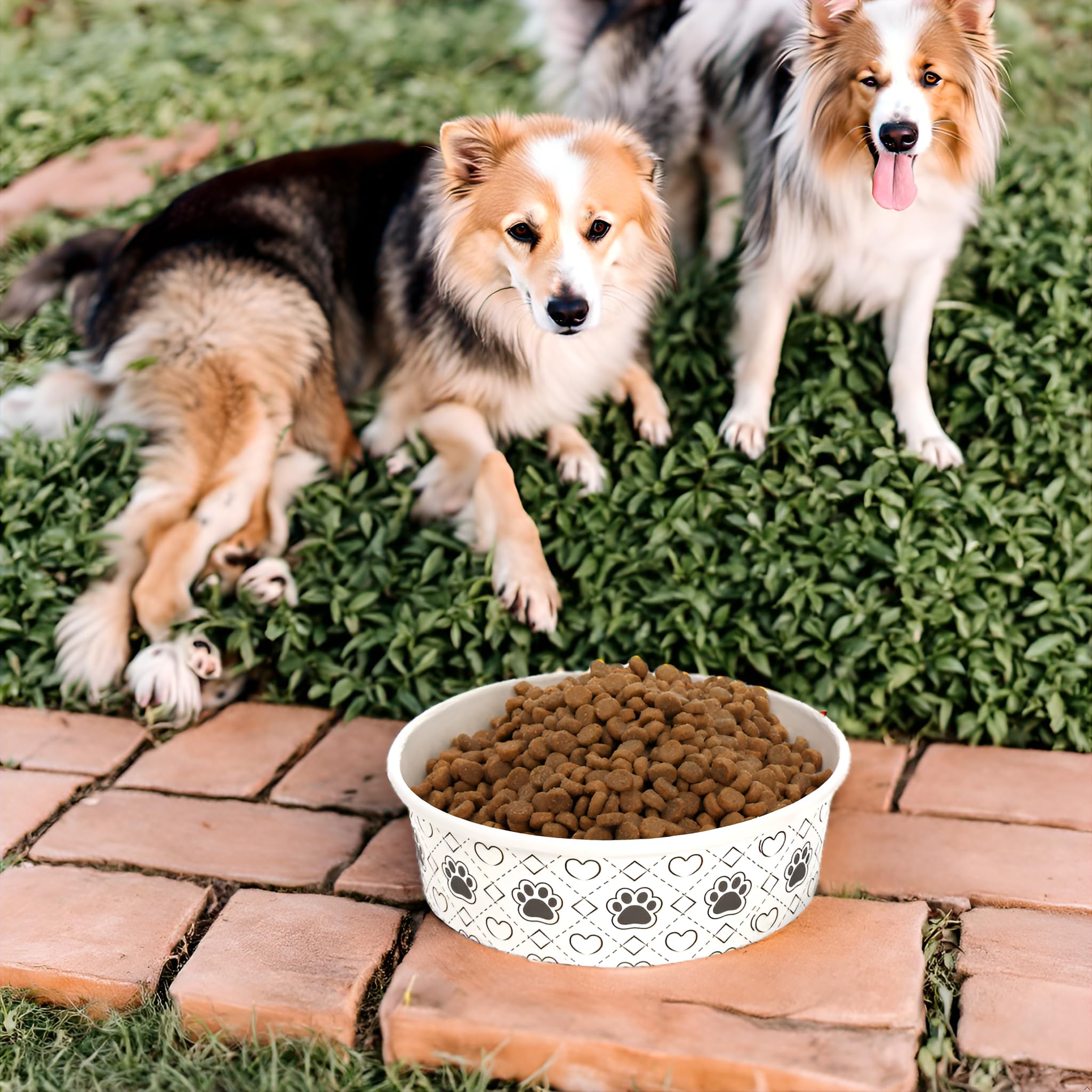 SOUJOY wide-mouth design reduces whisker fatigue for cats and small dogs.