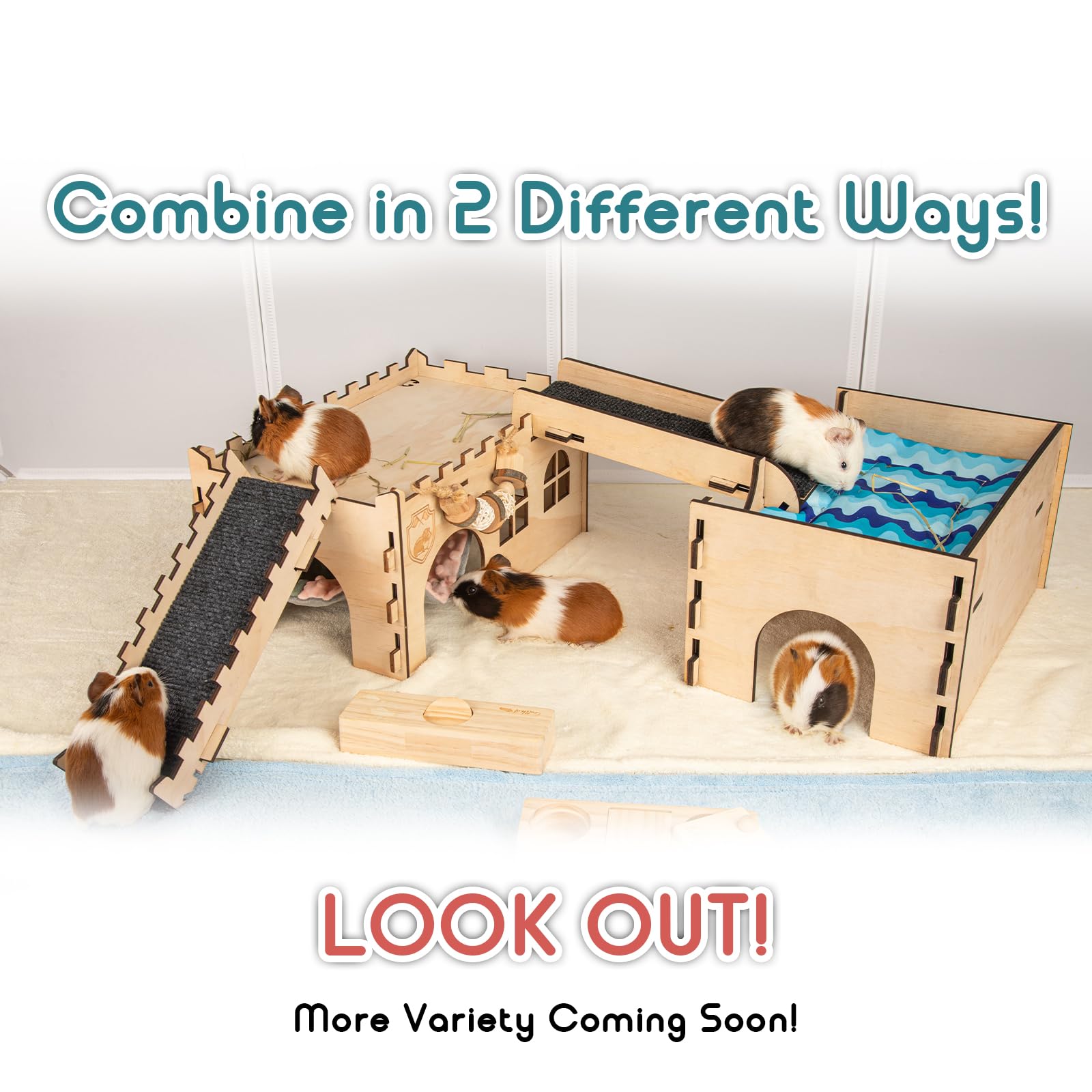SoulThink guinea pig play area setup enhances space and interaction