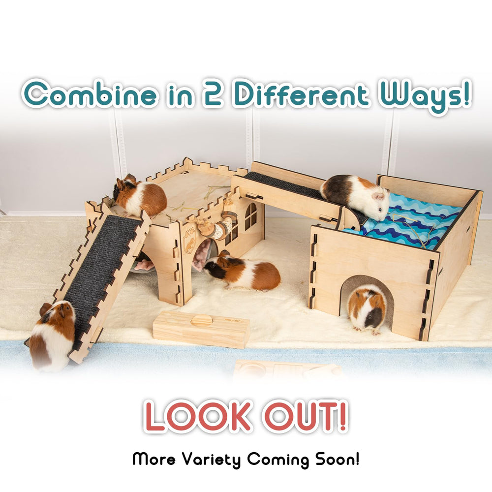 SoulThink guinea pig play area setup enhances space and interaction