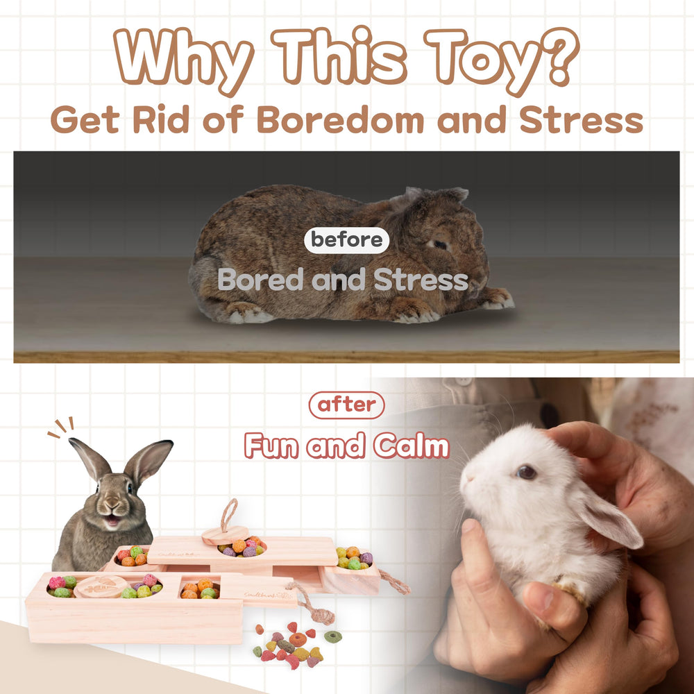 SoulThink Sniff n' Snack bunny toy chin rub flat surface supports grooming behavior.