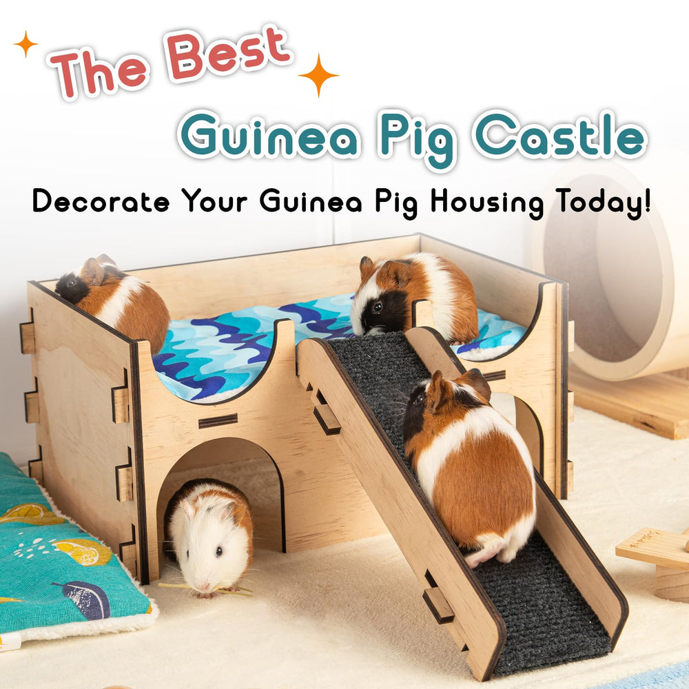 SoulThink spacious habitat supports curious pets with room to explore and rest