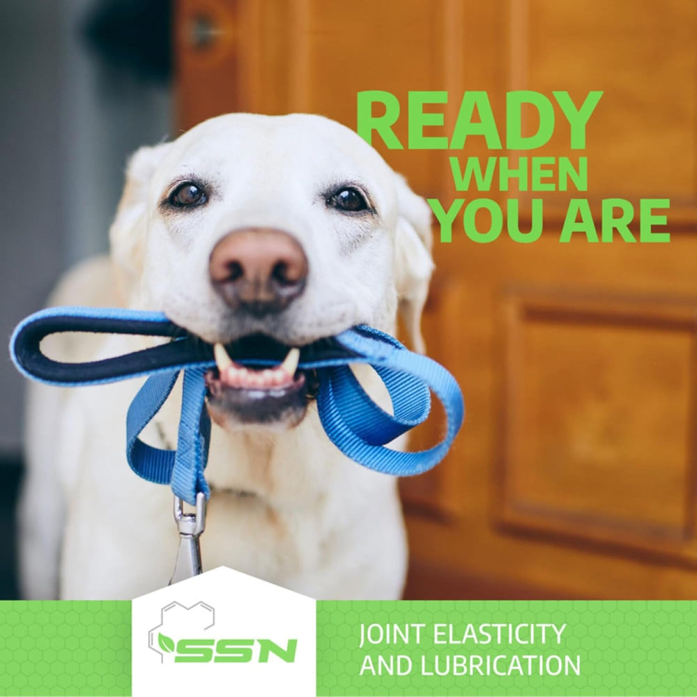 Compact Fluid Motion bottle design fits daily routines for dogs.