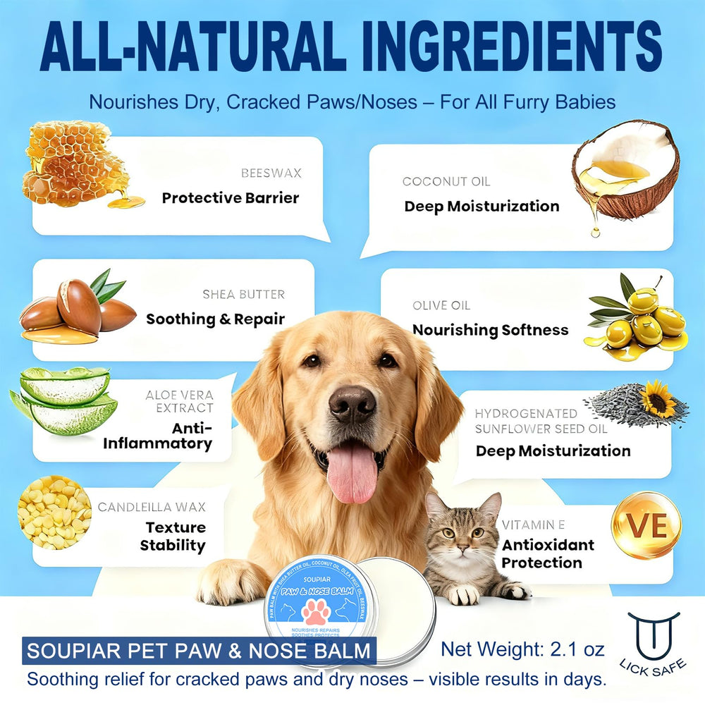 Soupiar balm in use on paw during walk, weather protection.