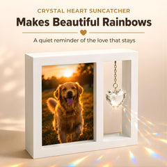 Sourbear crystal heart suncatcher reflecting rainbow light and comfort