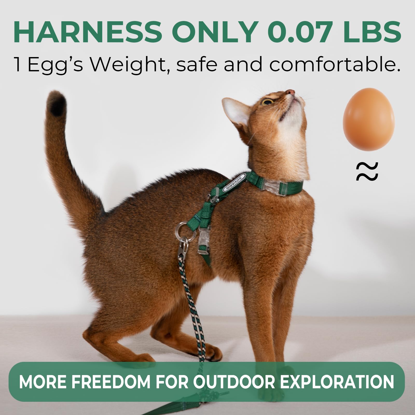 Sovarin back-adjustment harness in green supports comfortable fit during walks.