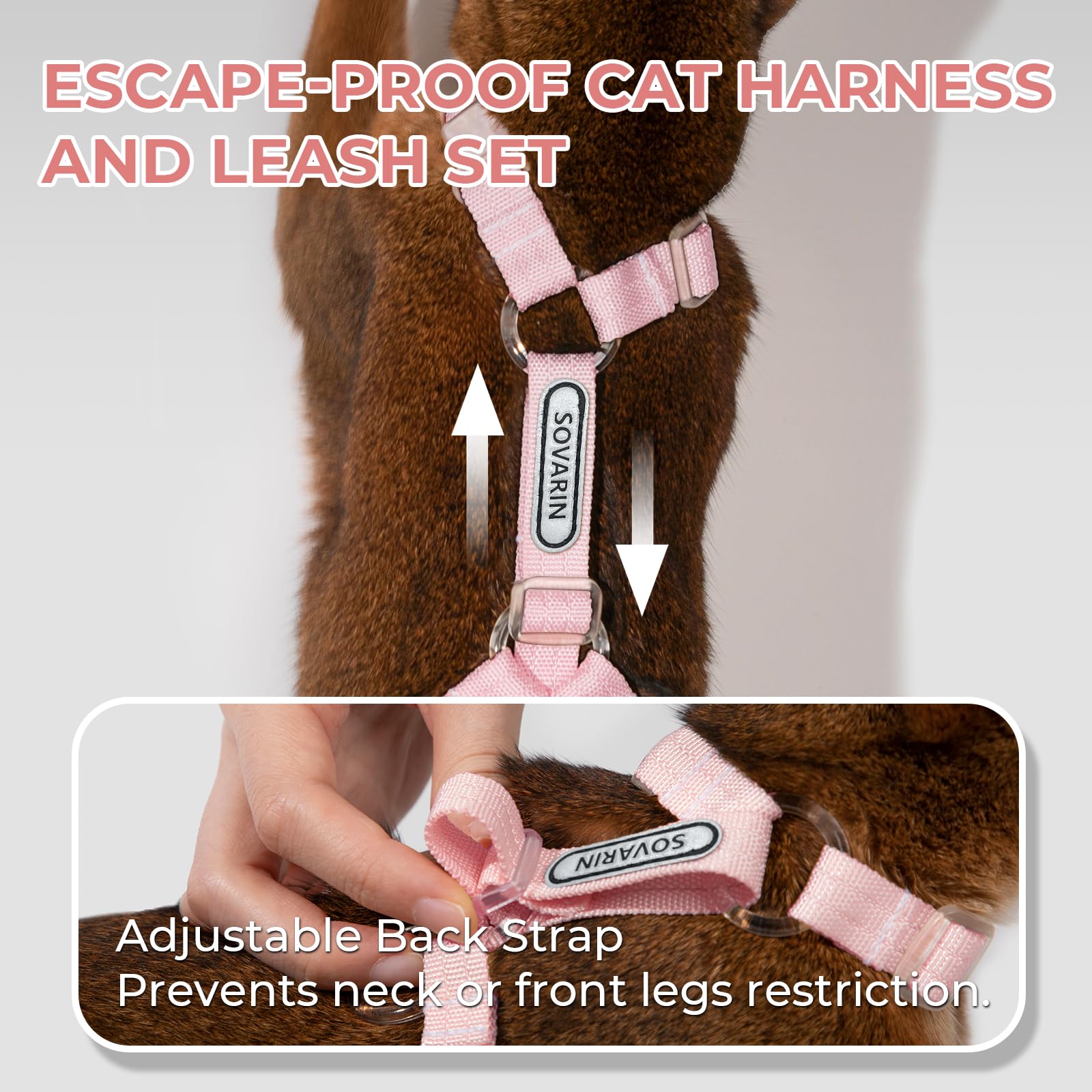 Sovarin escape-proof multi-point locking system with ring