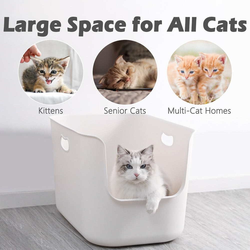 SpaceTime Seamless One-Piece Litter Box simplifies setup and cleaning daily.