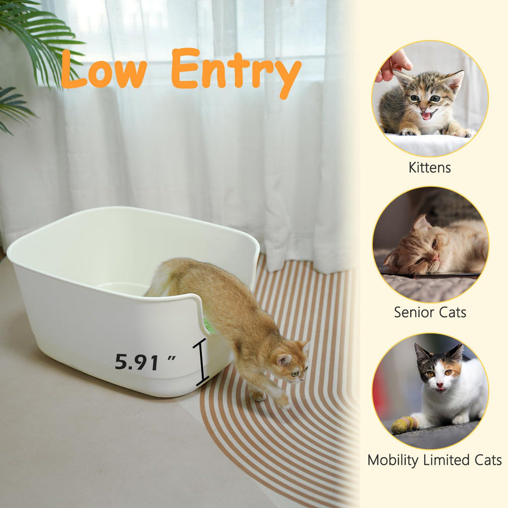 SpaceTime XL litter box seamless one-piece design requires no assembly