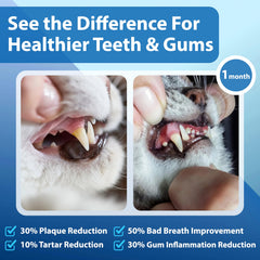 Spanielbuns cat breath freshness visual suggesting improved odor.