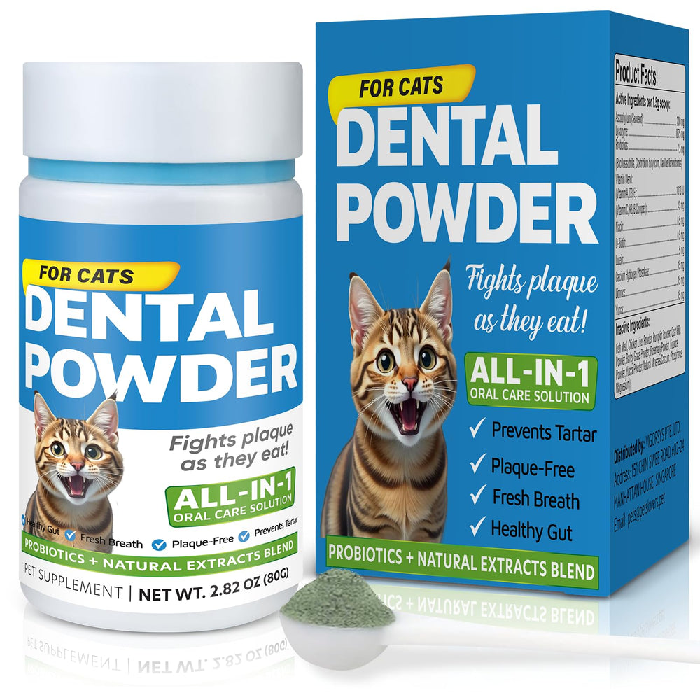 Spanielbuns cat dental powder bottle for easy daily care.