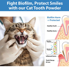 Spanielbuns cat teeth and gums close-up for healthier mouth.